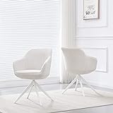 B&D home Esszimmerstuhl ARVIT | Chefsessel Bürosessel Konferenzstuhl Loungesessel Drehstuhl für Esszimmer,...